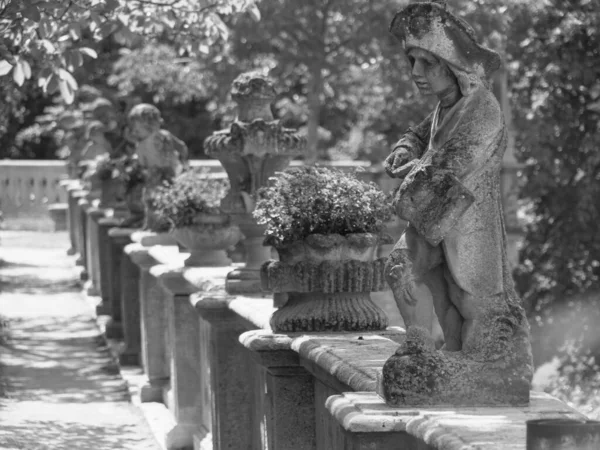 Wuerzburg Şehri Ana Nehir Kıyısında — Stok fotoğraf