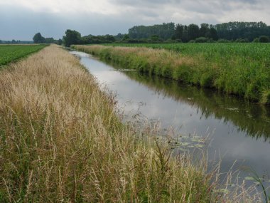 Alman Westphalia 'sında küçük bir dere.