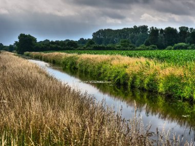 Alman Westphalia 'sında küçük bir dere.
