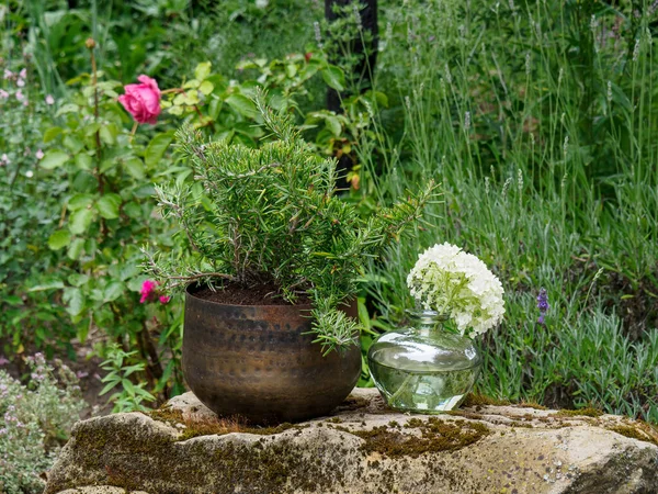 Ora Legale Giardino Tedesco — Foto Stock