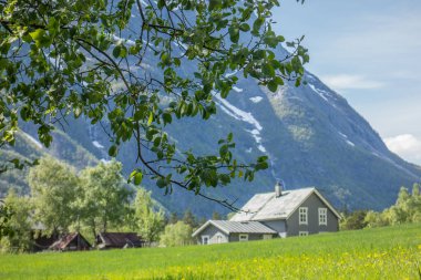 Norveç 'in Eidfjord şehri