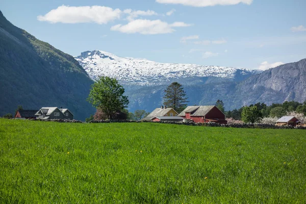 Norveç Eidfjord Şehri — Stok fotoğraf