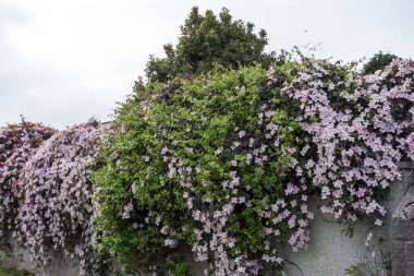 Inverness ve İskoçya 'daki Sakrak Diyarlar