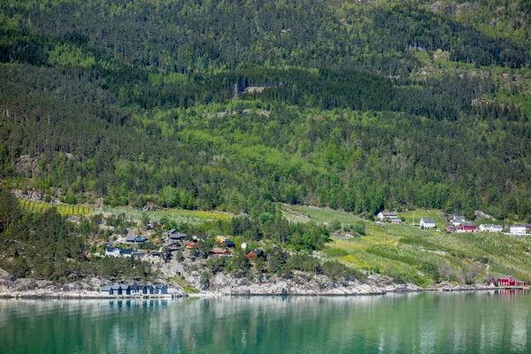 Spring Time Eidfjord Norway — 스톡 사진