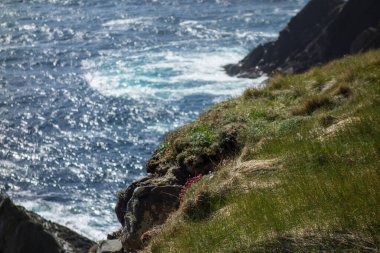 İngiltere 'deki Shetland Adası.