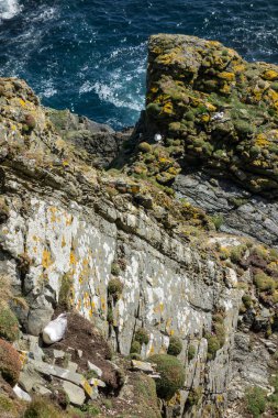 İngiltere 'deki Shetland Adası.