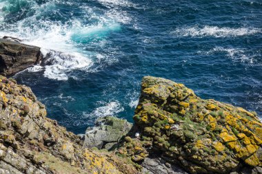 İngiltere 'deki Shetland Adası.