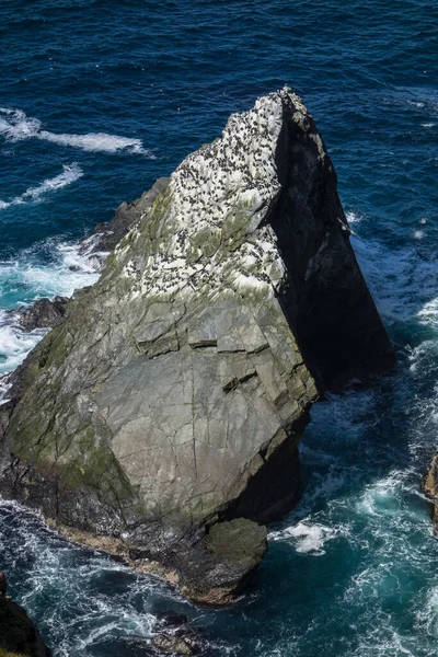 Isla Shetland Reino Unido — Foto de Stock