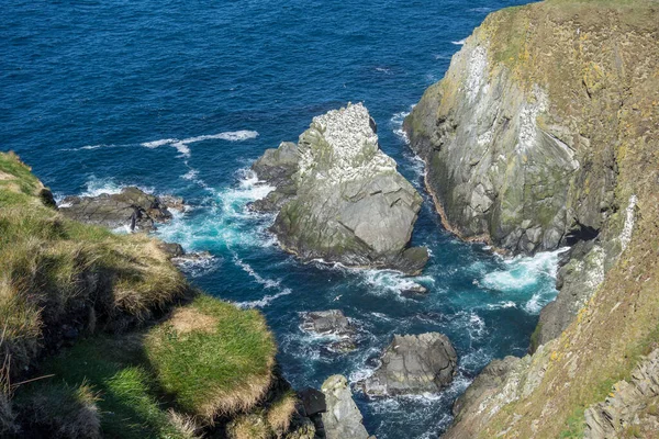 Wyspa Shetland Wielkiej Brytanii — Zdjęcie stockowe