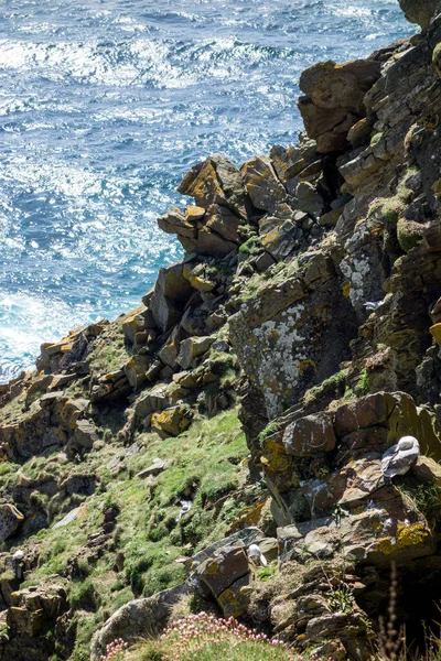 Die Shetlandinsel Vereinigten Königreich — Stockfoto