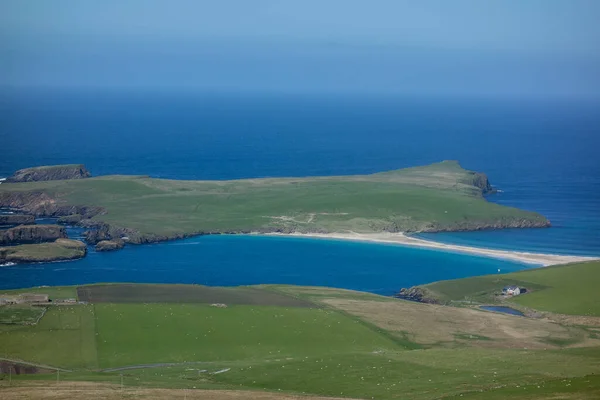 Шетландский Остров Сша — стоковое фото