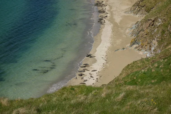 Die Shetlandinsel Vereinigten Königreich — Stockfoto