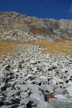 İsviçre Alplerinde yürüyüş