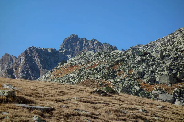 Wandern Den Schweizer Alpen — Stockfoto