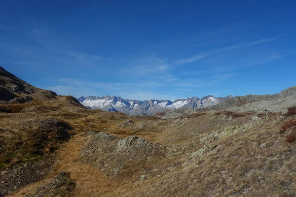 Wandern Den Schweizer Alpen — Stockfoto