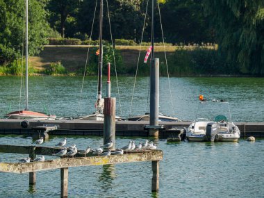 small lake at Bocholt in westphalia