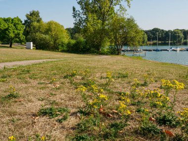 small lake at Bocholt in westphalia