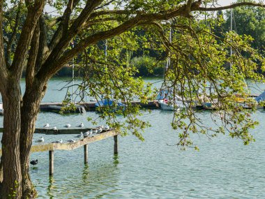 small lake at Bocholt in westphalia