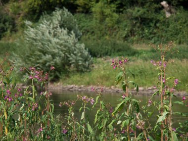 Bad Karlshafen at the weser river
