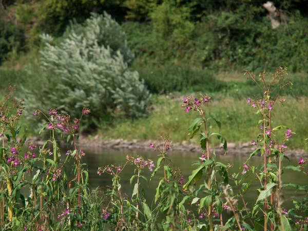 the weser river in germany