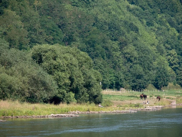 Weser River Germany — Stockfoto