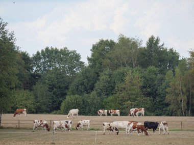 Hollanda 'da Winterswijk