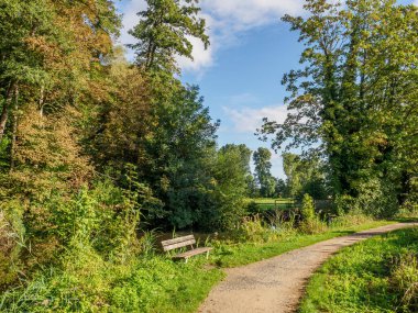 Westphalia 'daki kale ve orman