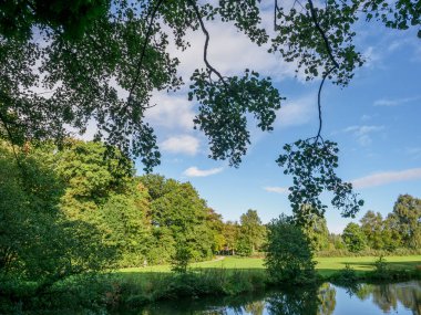 Westphalia 'daki kale ve orman