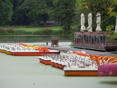 Almanya 'da Borken yakınlarında küçük bir gölde.