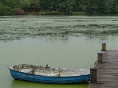 Almanya 'da Borken yakınlarında küçük bir gölde.