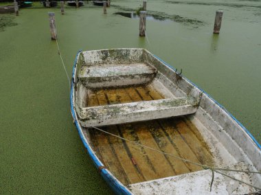 Almanya 'da Borken yakınlarında küçük bir gölde.