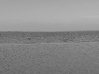 Almanya 'daki Spiekeroog Adası