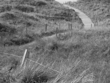 Almanya 'daki Spiekeroog Adası