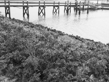 Almanya'da spiekeroog Adası