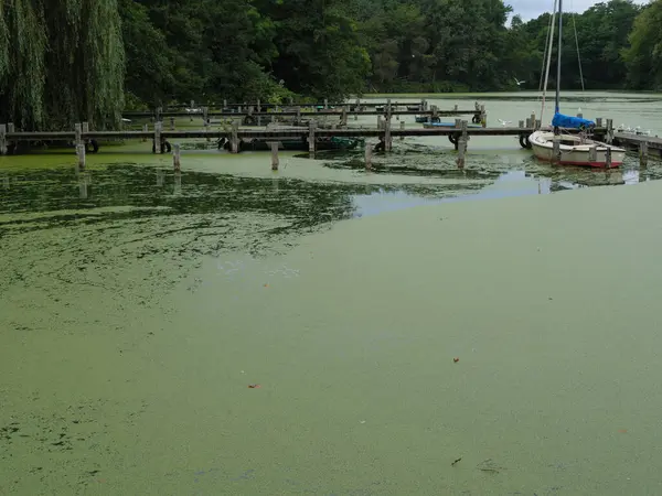 Pequeño Lago Cerca Borken Alemania — Foto de Stock