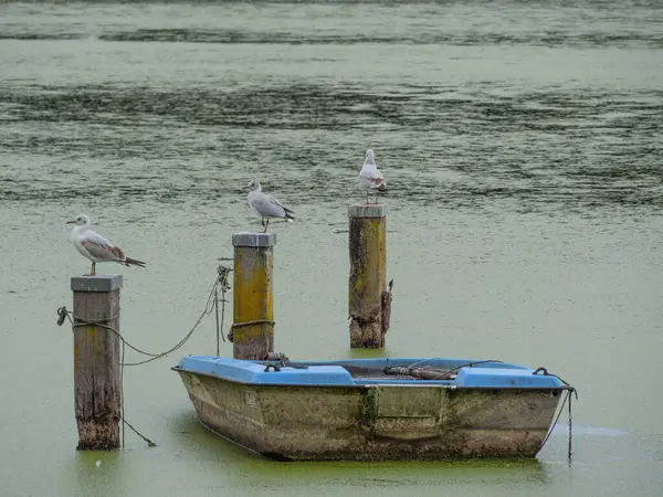 Pequeño Lago Cerca Borken Alemania —  Fotos de Stock