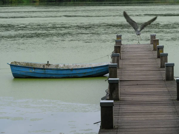 Небольшом Озере Возле Боркена Германии — стоковое фото