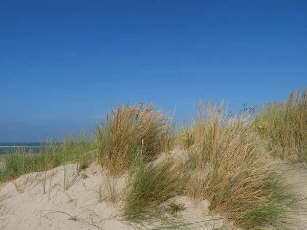 Het Eiland Van Spiekeroog — Stockfoto