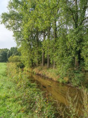 Westphalia 'da bir nehirde yürüyüş.