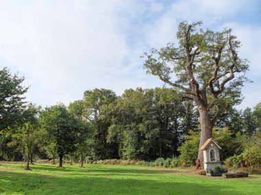 Westphalia 'da bir nehirde yürüyüş.
