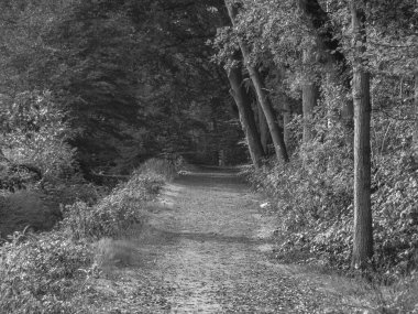 Westphalia 'da bir nehirde yürüyüş.