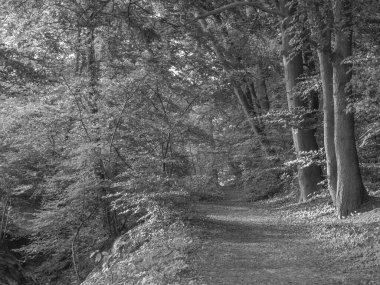 Westphalia 'da bir nehirde yürüyüş.