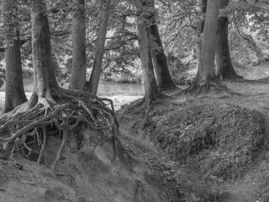 Westphalia 'da bir nehirde yürüyüş.