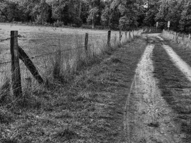 Westphalia 'da bir nehirde yürüyüş.