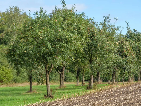 Piesze Wycieczki Nad Rzeką Westfalii — Zdjęcie stockowe