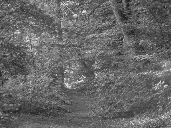 Wandelen Aan Een Rivier West Phalia — Stockfoto