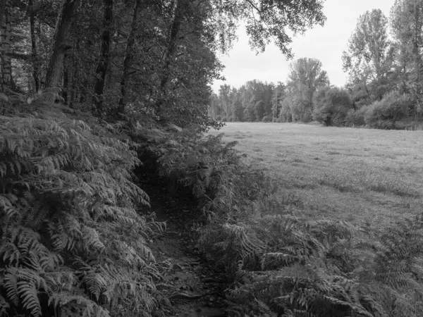 Wandern Einem Fluss Westfalen — Stockfoto