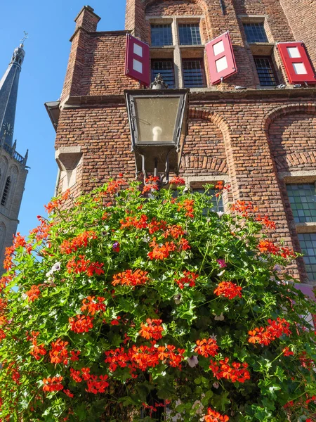 Πόλη Του Doesburg Στις Κάτω Χώρες — Φωτογραφία Αρχείου