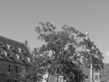 Alman şehri Doesburg.