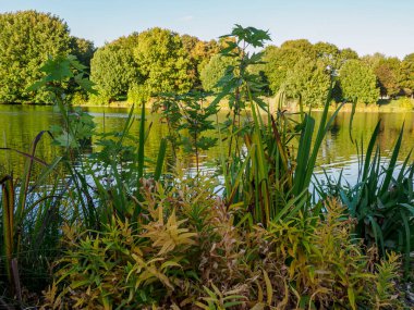 Westphalia 'daki Bocholt şehri.